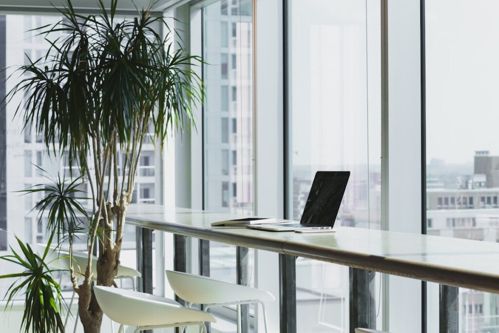 Junior Frontend Developer
